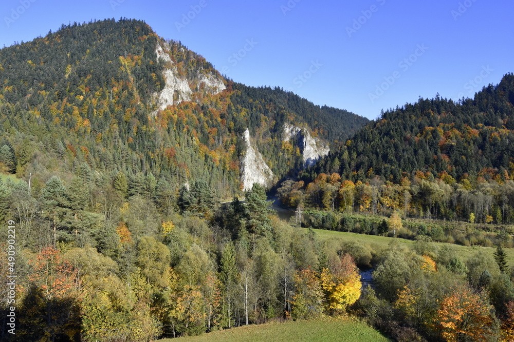 Rzeka Dunajec, Pieniński Park Narodowy, woda, zieleń, Stock Photo ...