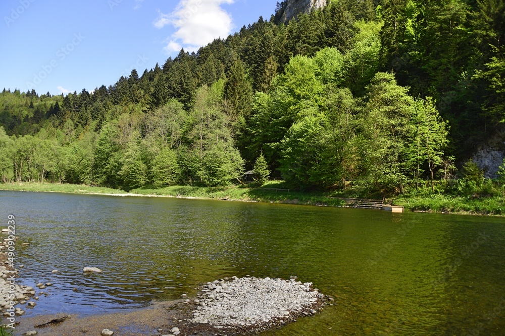 Rzeka Dunajec, Pieniński Park Narodowy, woda, zieleń, Rzeka Dunajec, Pieniński Park Narodowy, woda, zieleń,