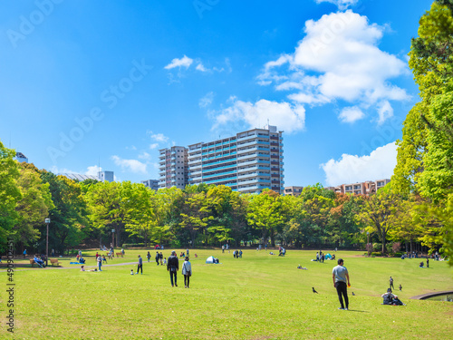 青空が広がる住宅街の公園