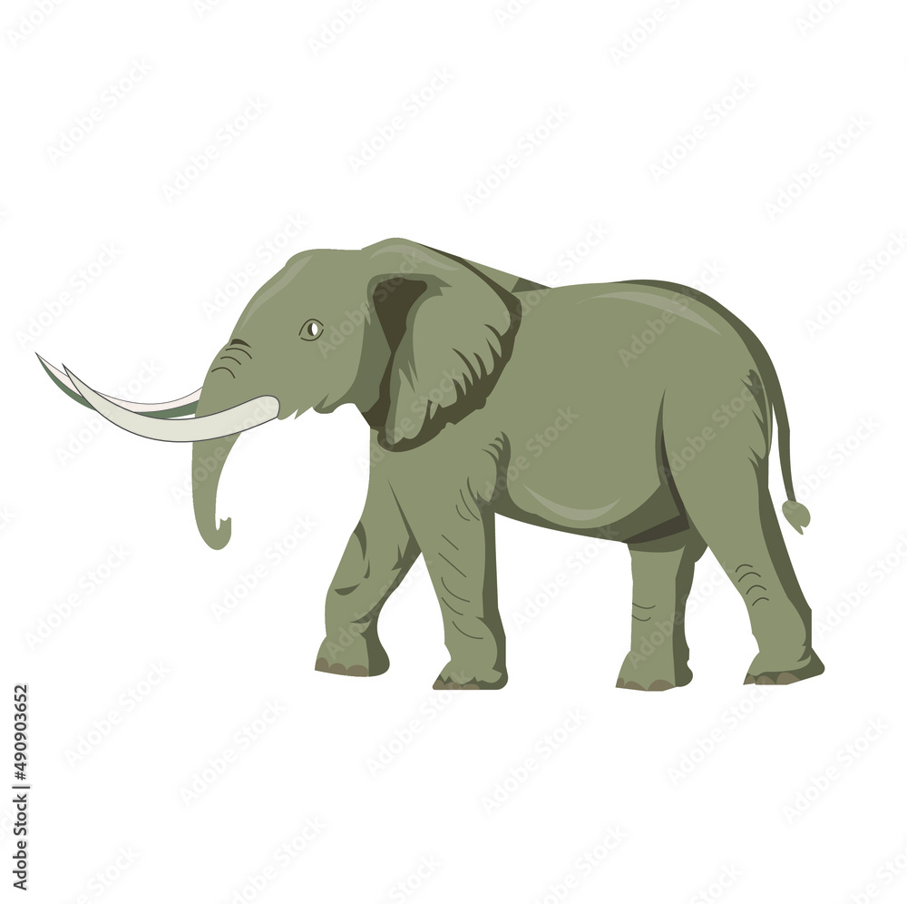 elephant cartoon isolated on white, Cartoon elephant vector isolated on white background