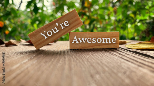 Motivational and Inspiration quote - You are awesome. photo