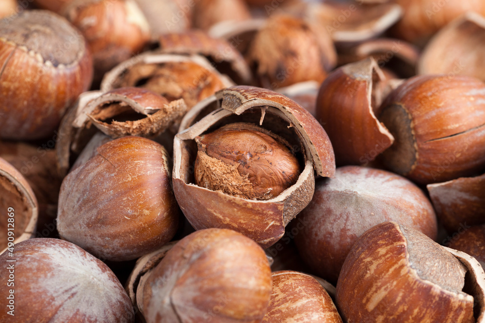 Fototapeta premium hazelnuts peeled from the shell