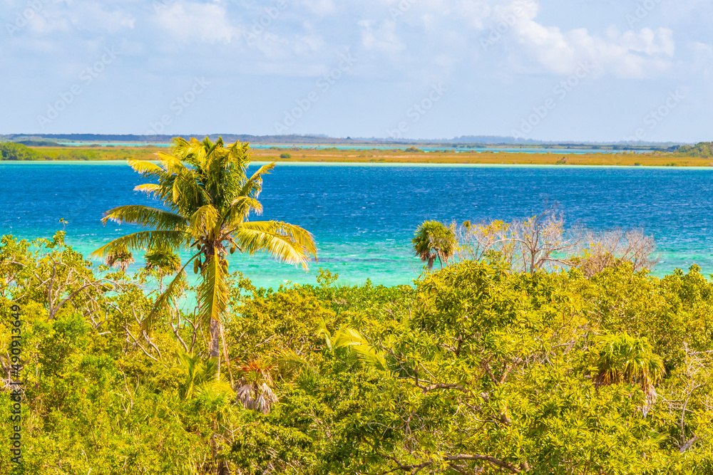 Muyil Lagoon panorama view in tropical jungle of amazing Mexico. Muyil Lagoon panorama view in tropical jungle of amazing Mexico.