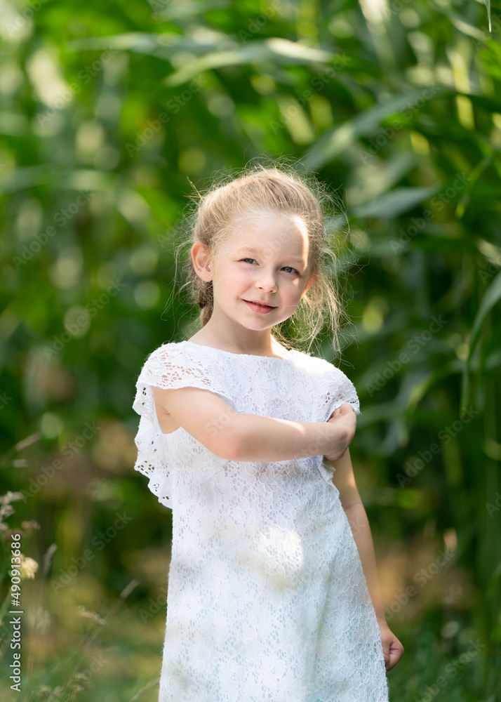 portrait of a little girl in a field portrait of a little girl in a field