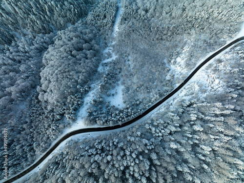 Mountain road in winter shoot from above drone aerial view trees covered in snow © AlexandruPh