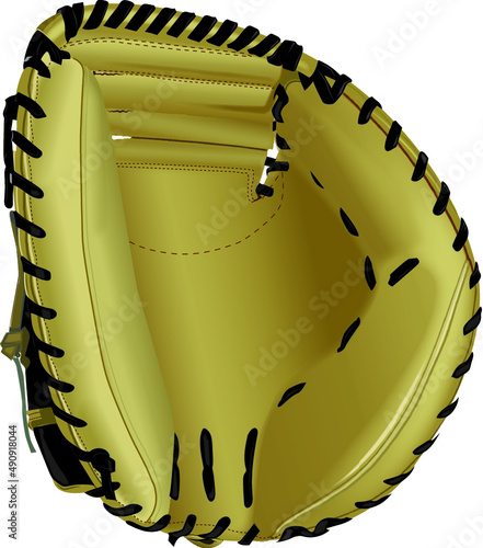 A realistic vector image of a catchers baseball mitt