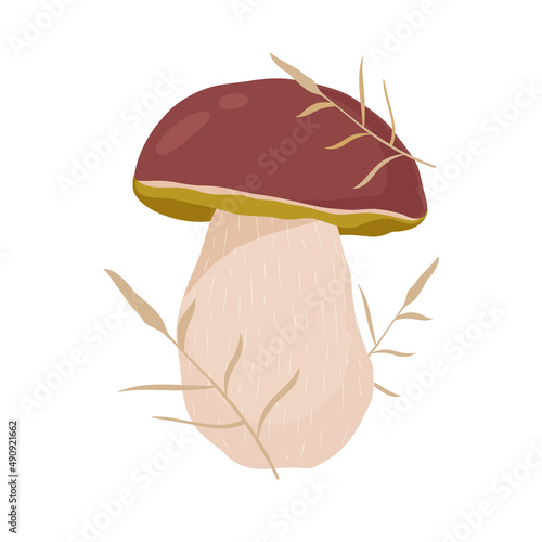 Boletus. Mushroom. Vector illustration.