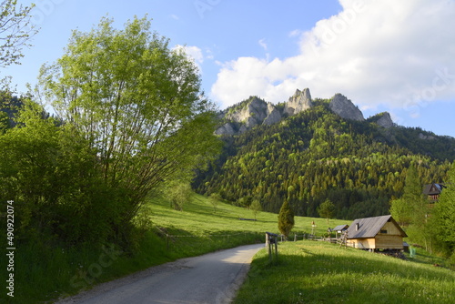 Poland, Malopolska voivodeship, Trzy Korony Mountain, Pieniny National Park, nature, photo