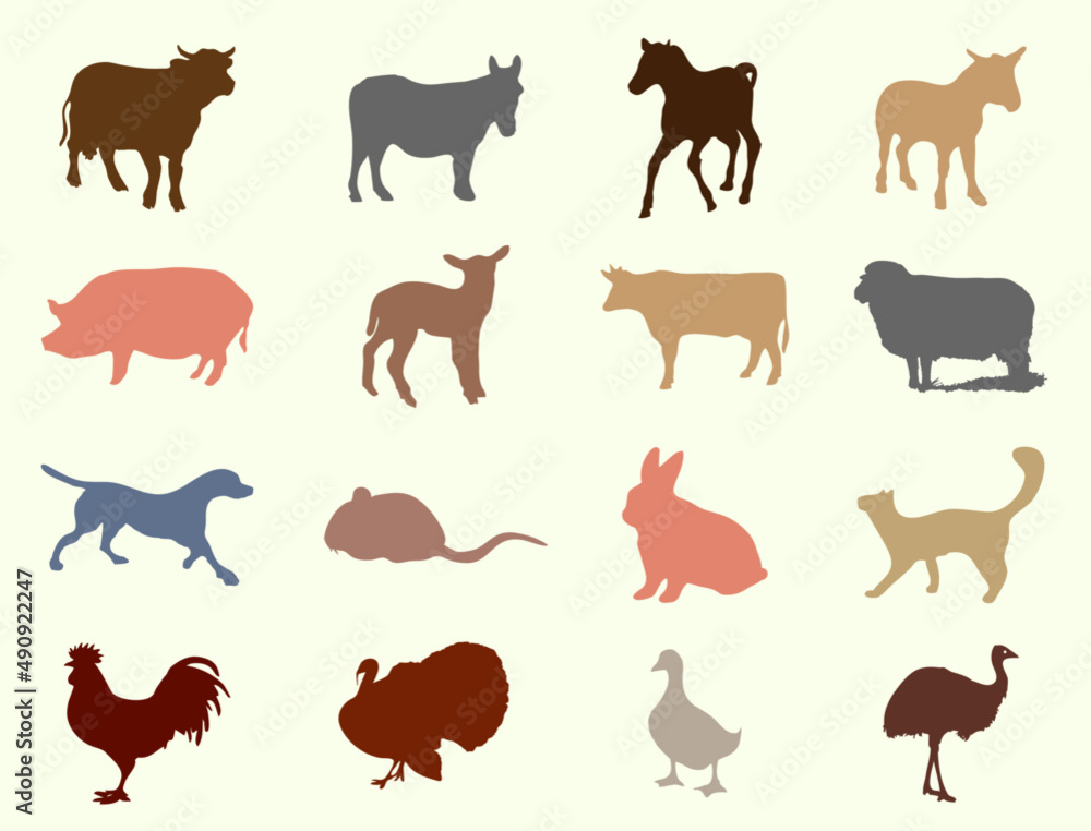 Farm Poultry Animal Vector Icons Set