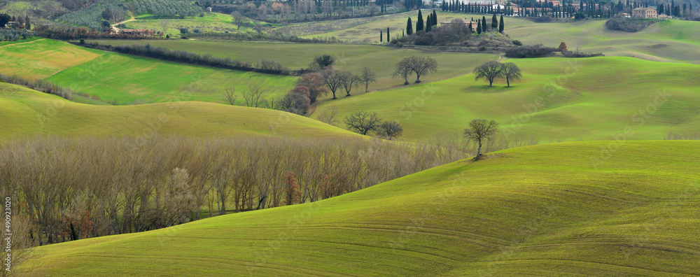 Beautiful green hills in the Sienese countryside near Pienza. Val d'Orcia, Tuscany. Italy