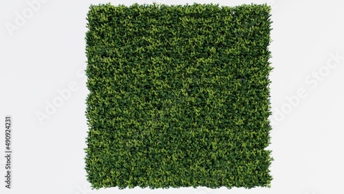 Fényképezés Artifical green panel