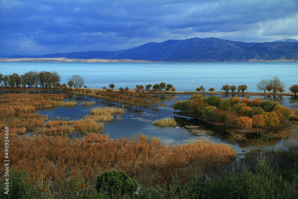 autumn in the longoz autumn in the longoz