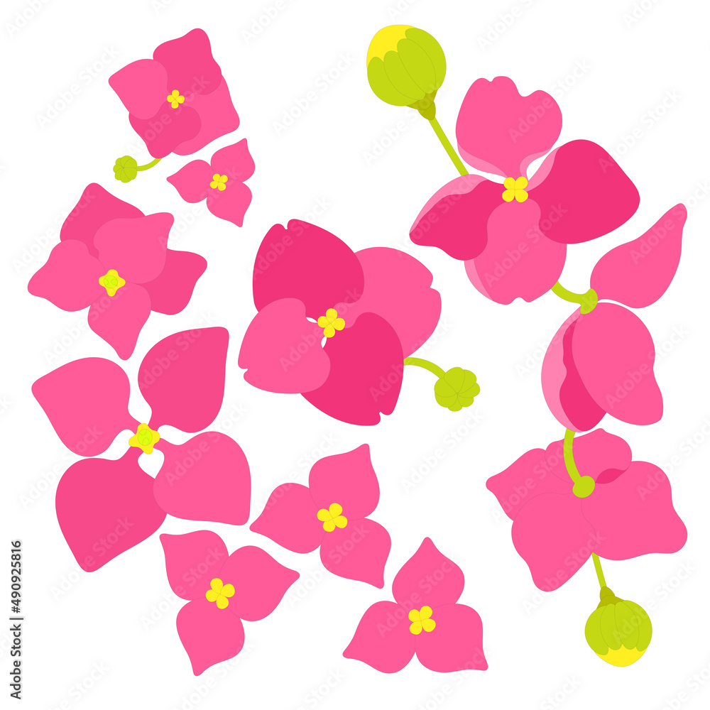 Obraz premium hydrangeas flower seamless pattern