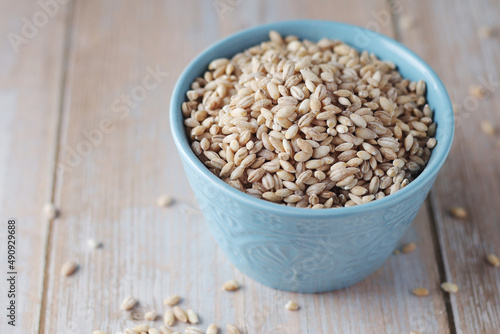 A bowl with raw barley seeds