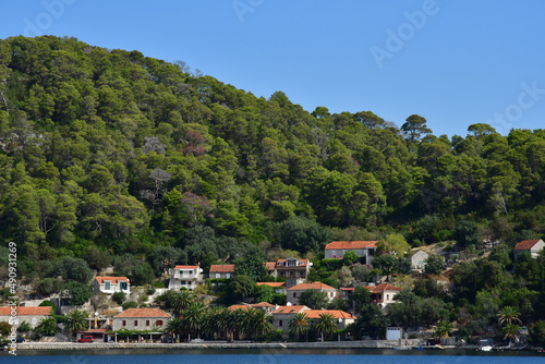 Fototapeta Naklejka Na Ścianę i Meble -  the Mljet island, Croatia- september 3 2021 : picturesque island in summer