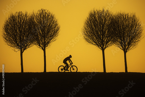 one cyclist on the road through the trees before sunset, the sky is yellow and only silhouettes are visible