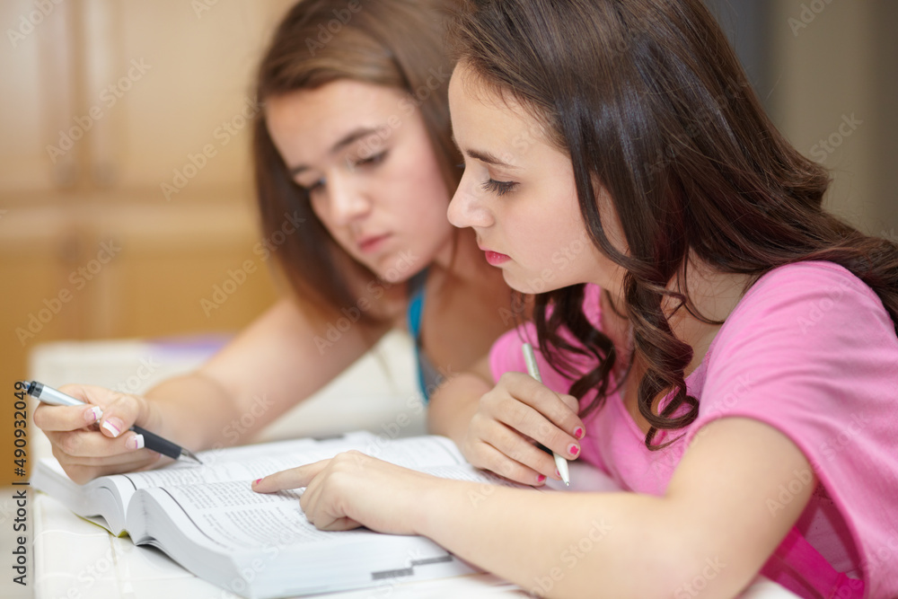 Researching for our group project. Two girls sitting together and studying. Researching for our group project. Two girls sitting together and studying.