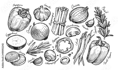 Fresh vegetables set sketch. Farm organic food hand drawn vintage vector illustration