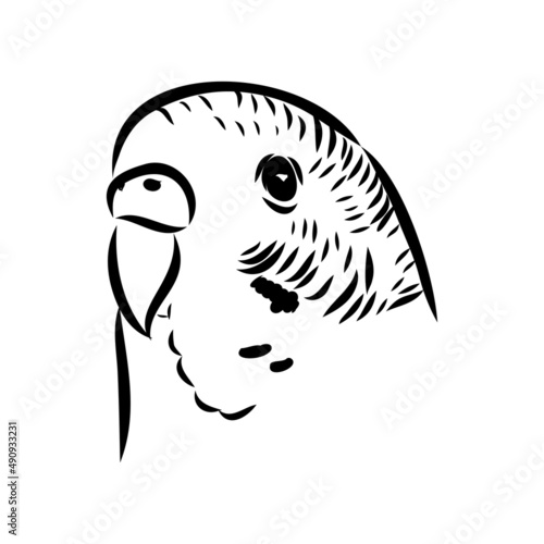 A cute budgie sits on a perch. Vector sketch illustration for design, advertising, prints.