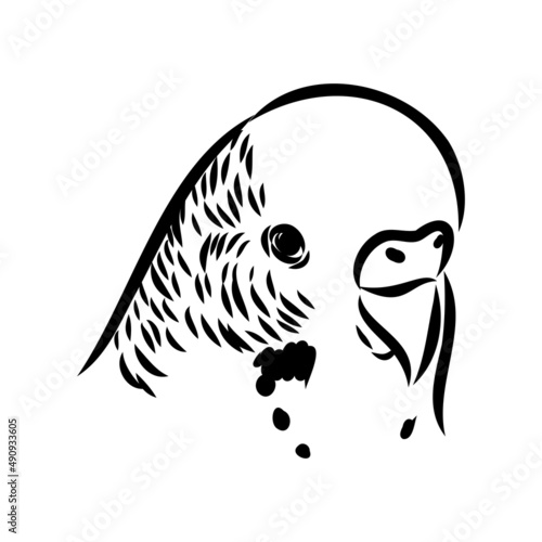A cute budgie sits on a perch. Vector sketch illustration for design, advertising, prints.