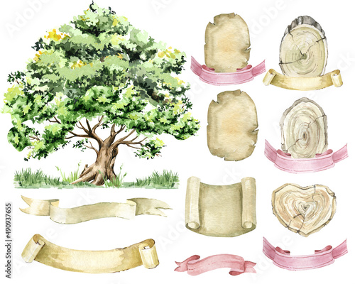 Fotografie genealogy of trees