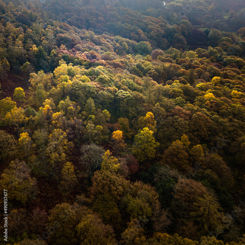 Aerial drone shot of autumn at Yew Tree Tarn in the English Lake District National Park.  Took the drone up for an overhead shot of the autumn colours in the surrounding trees