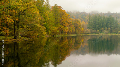 Autumn Reflections at Yew Tree Tarn in the English Lake District National Park. One of the most accessible tarns     the road from Ambleside to Coniston goes right past it  with a small car park beside