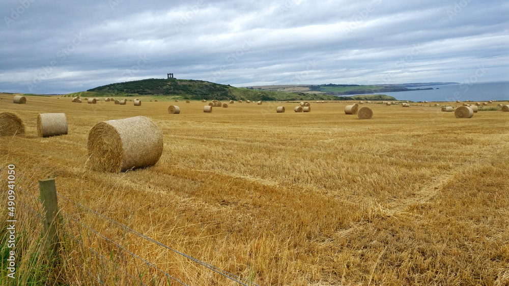 Hay bales in a Scottish field during a cloudy day next to the cliffs