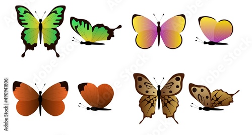 Set of elegant exotic butterflies