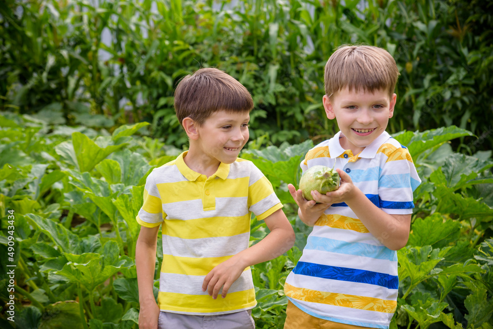 Portrait of two happy young boy holding marrows in community garden. Happy kids sibling brothers smiling and grimacing surprised with reach harvest. Eco village farming concept