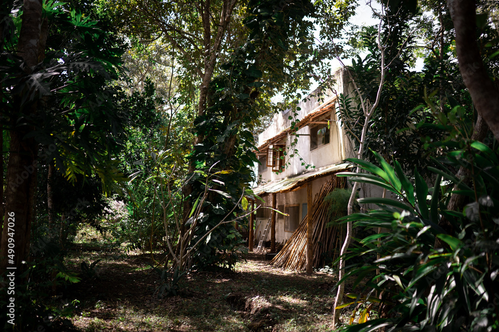 Beautiful house is being built in the middle of the jungle