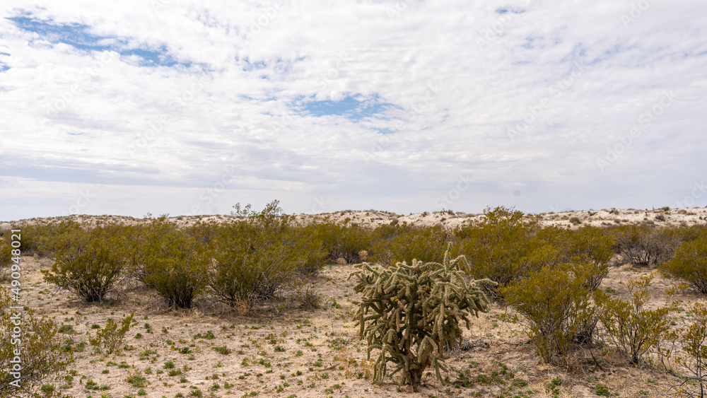 Guadalupe Mountain National Park Guadalupe Mountain National Park