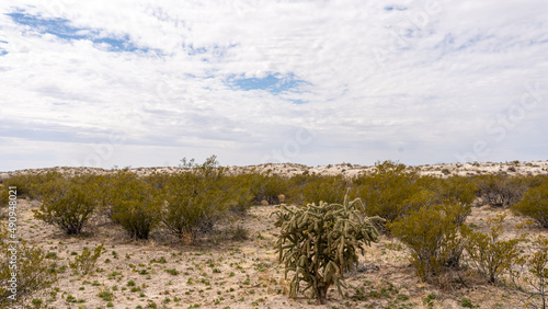 Guadalupe Mountain National Park
