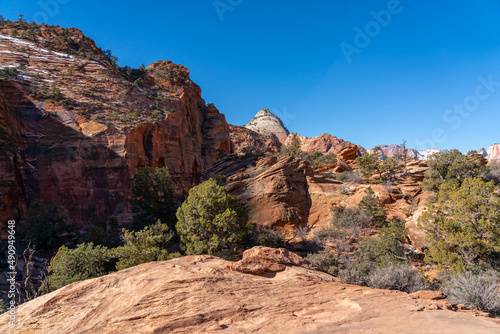 View of the Vegetation and Nature on the Zion National Park Trails