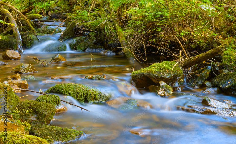 small brook rushing through a forest small brook rushing through a forest