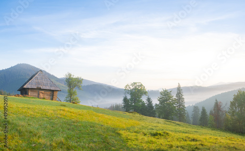 green mount slope with small wooden house at the early morning, mountain village scene © Yuriy Kulik