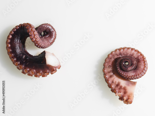 Parts of an octopus with tentacles and suckers isolated on a white background. Top view. Cooking, seafood recipes. Japanese, Thai cuisine. There are no people in the photo.