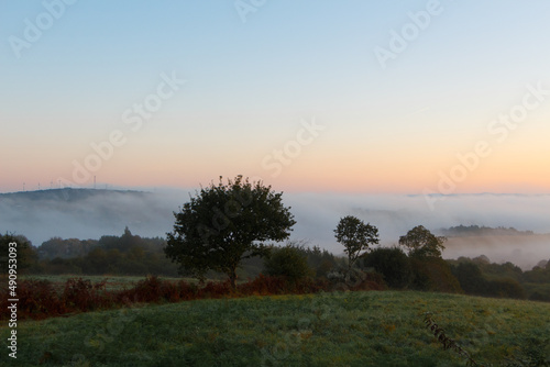 Countryside under the fog in Brittany