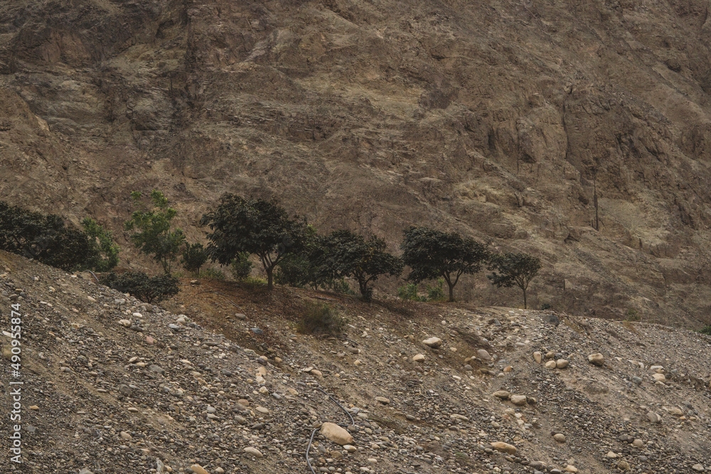 Fototapeta premium road in the mountains