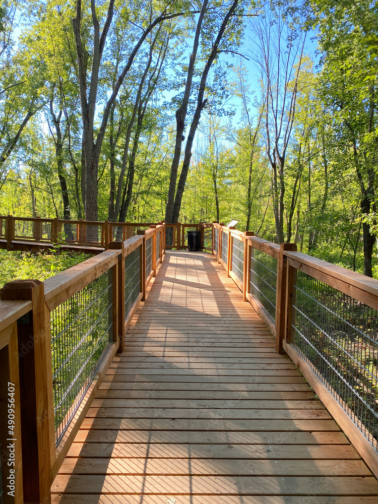 Passerelle et pont en bois dans la forêt surplombant un marais. Promenade dans un parc naturel en été. Passage piétonnier pour amateurs de nature