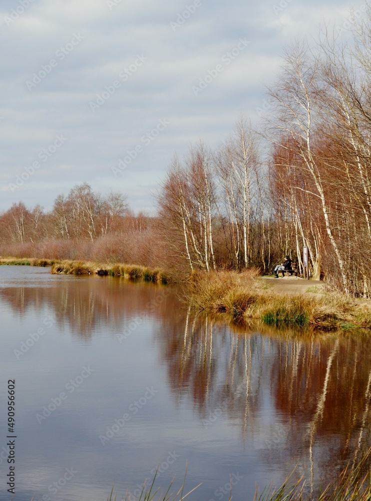 Obraz premium Teich im Himmelmoor