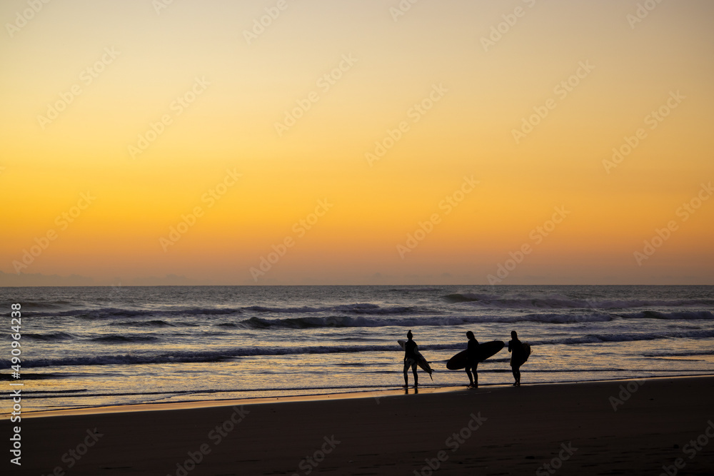 Fototapeta premium Surfers on Muriwai beach at sunset