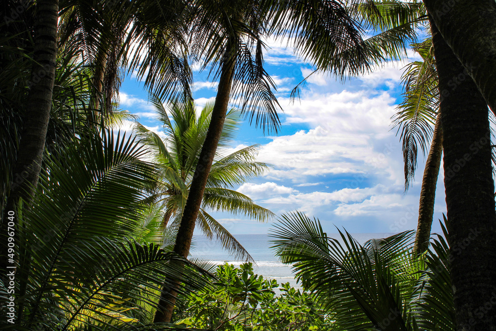 Obraz premium Palms by the Beach