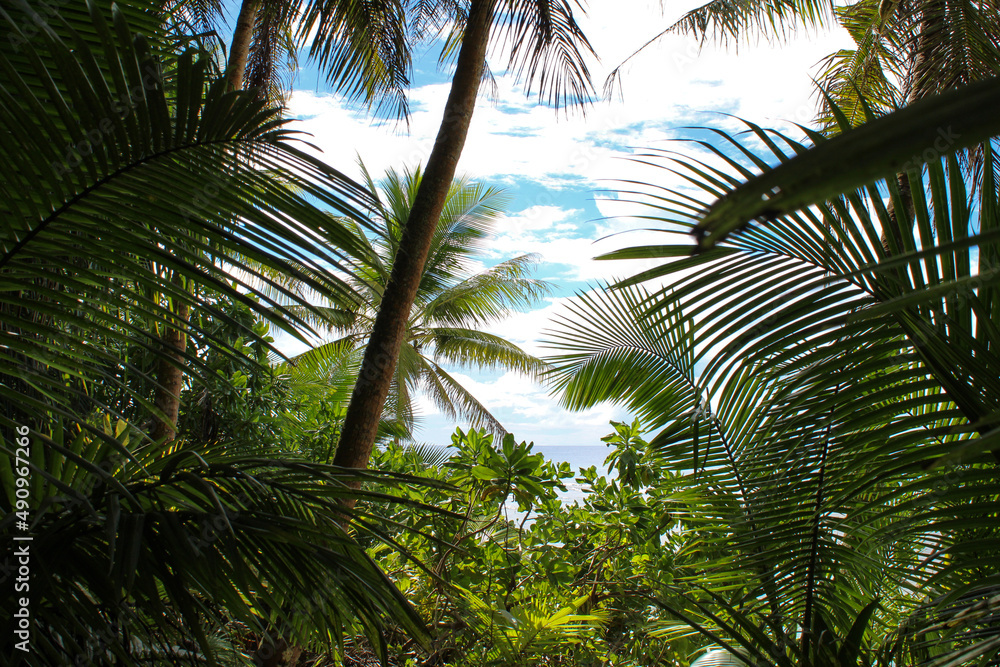 Fototapeta premium Gaum