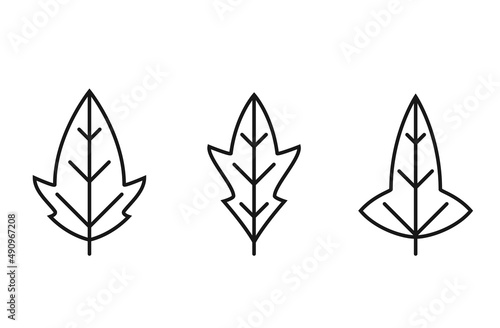 lobed leaf line icon set. botanical and nature symbol. three leaves vector images photo