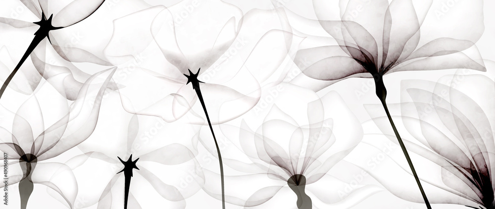 Luxury black and white art background with transparent flowers. Botanical  flower banner under x-ray for web design, packaging, design, decor,  wallpaper Stock Vector | Adobe Stock