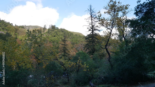 Big Sur, California