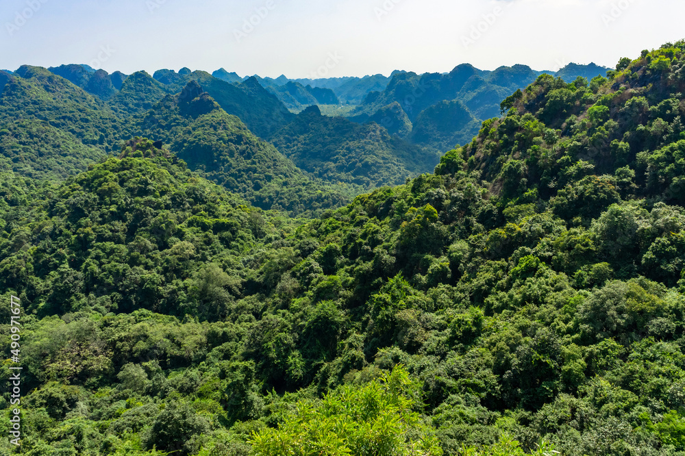 Beautiful mountain viewpoint from Cat Ba Island. Panorama Of Cat Ba National Park In Vietnam