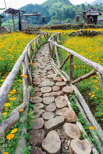 Cat Cat, Vietnam - Oct 10, 2019 The path in the garden of wooden round logs. Wood texture. blooming garden