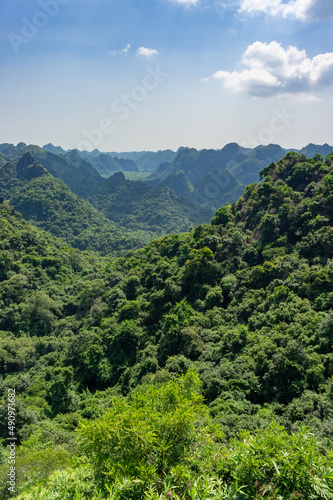 Beautiful mountain viewpoint from Cat Ba Island. Vertical. Panorama Of Cat Ba National Park In Vietnam